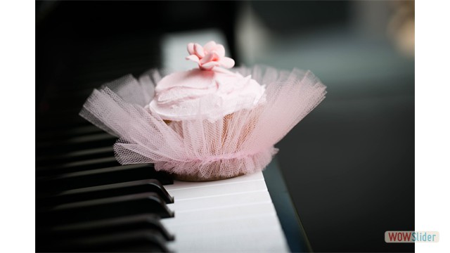 pink cupcake tutu 4
