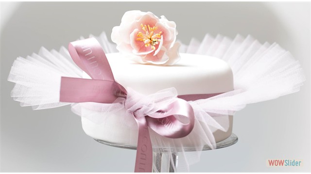 pink royal icing cake tutu 2
