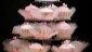 pink cupcake tutu tower 4